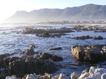 138 Marine Beachfront Guesthouse,Cape Town>>Betty's Bay,4 star