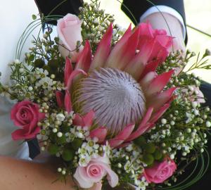 138 marine beachfront guesthouse