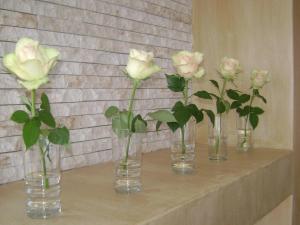 138 marine beachfront guesthouse