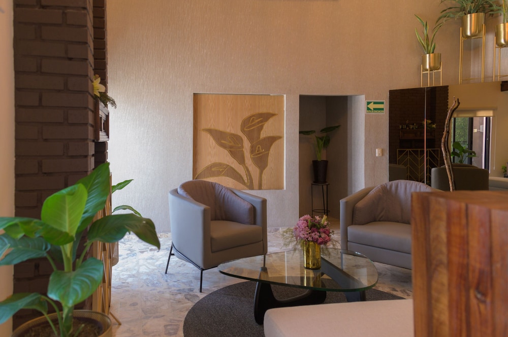 san jose suites boutique