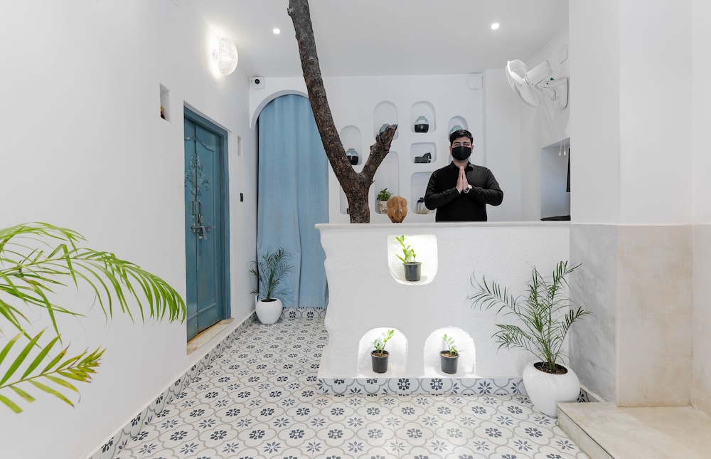 moustache udaipur luxuria