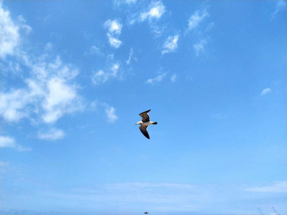 hostal venecia tu casa en manta