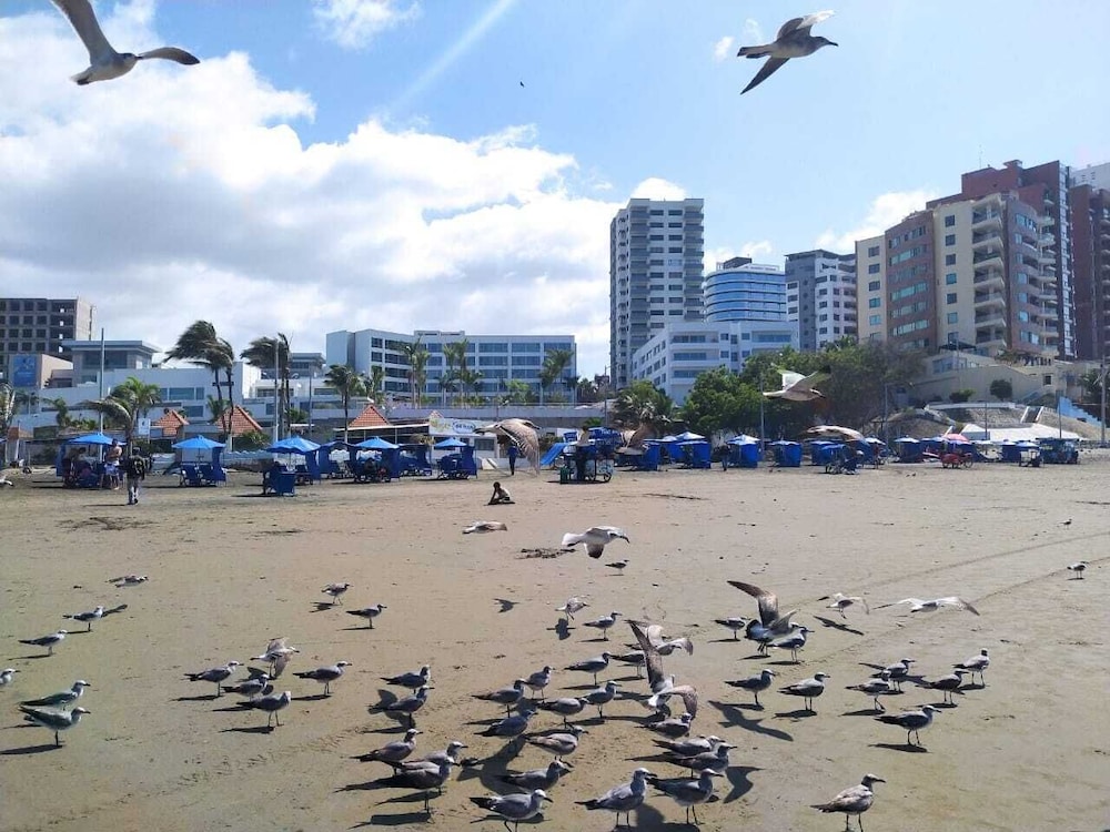 hostal venecia tu casa en manta