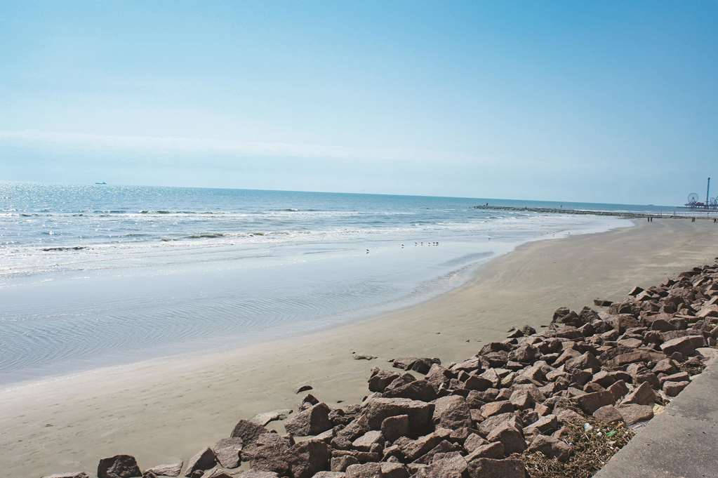 wingate by wyndham galveston beachfront at the seawall