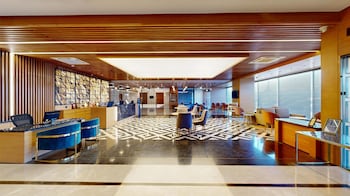 radisson hotel nathdwara