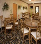 quality inn and suites