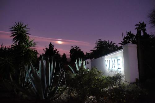 vine guesthouse