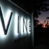 vine guesthouse