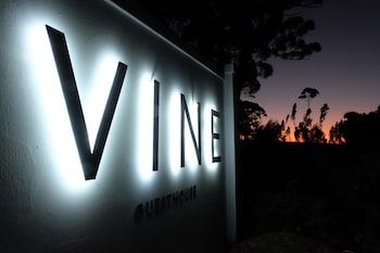 vine guesthouse