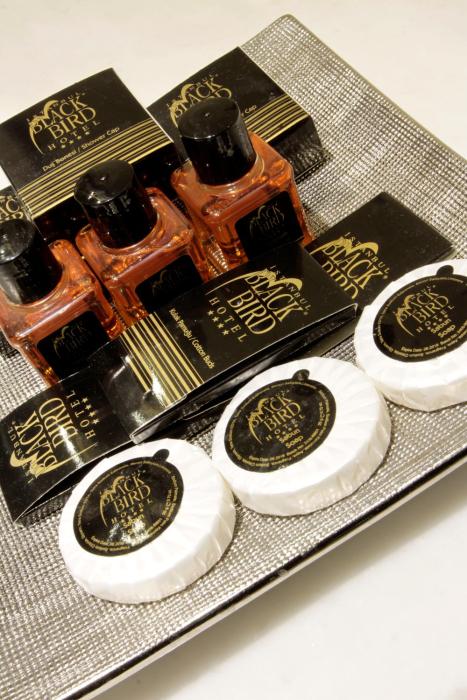 the parma hotel downtown