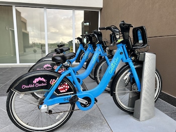 embassy suites by hilton aruba beach resort