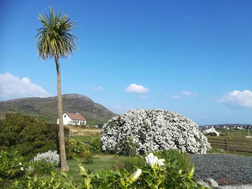 brae lea guest house