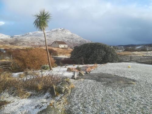 brae lea guest house