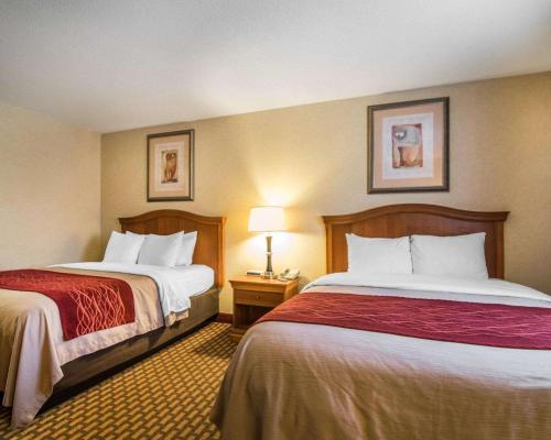 quality inn