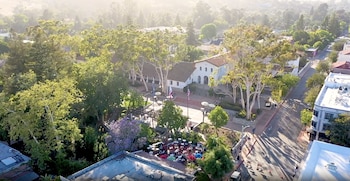 apple farm