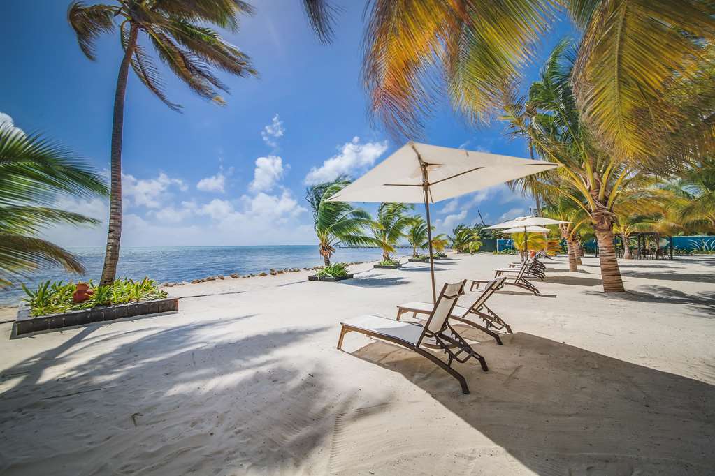 las terrazas resort and residences ambergris