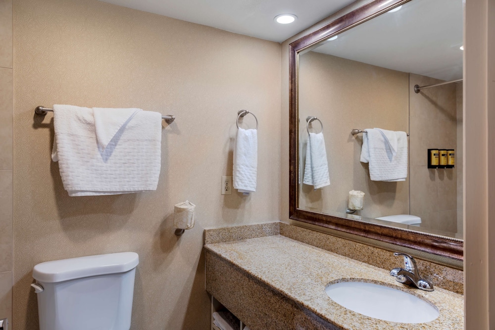 best western plus big america