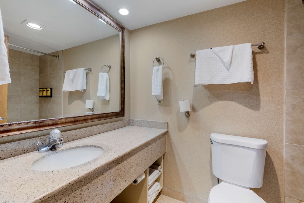 best western plus big america