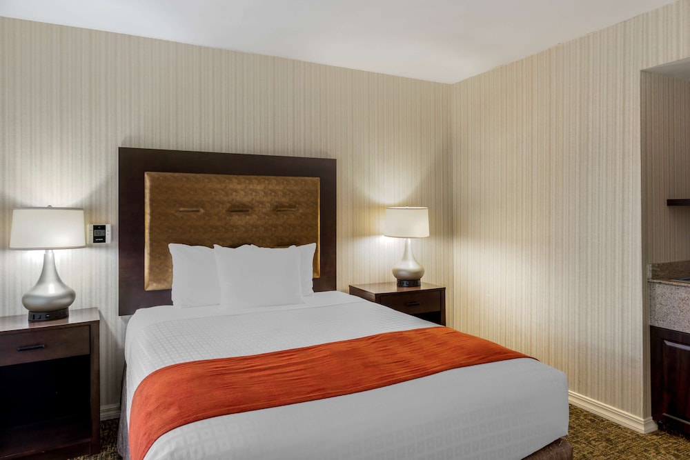 best western plus big america