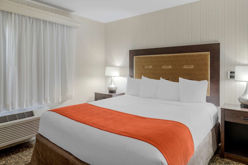 best western plus big america