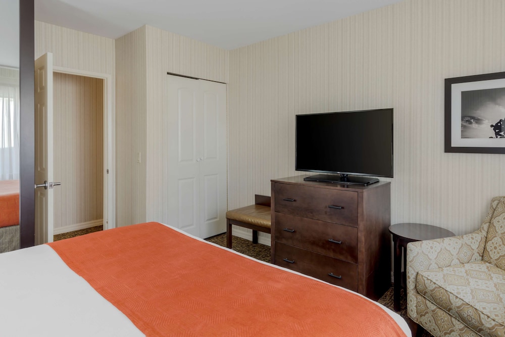 best western plus big america