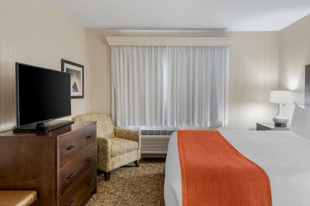 best western plus big america