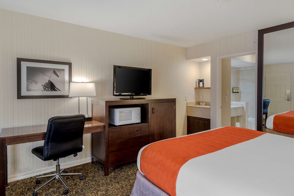 best western plus big america