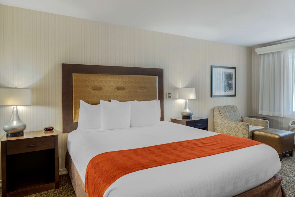 best western plus big america