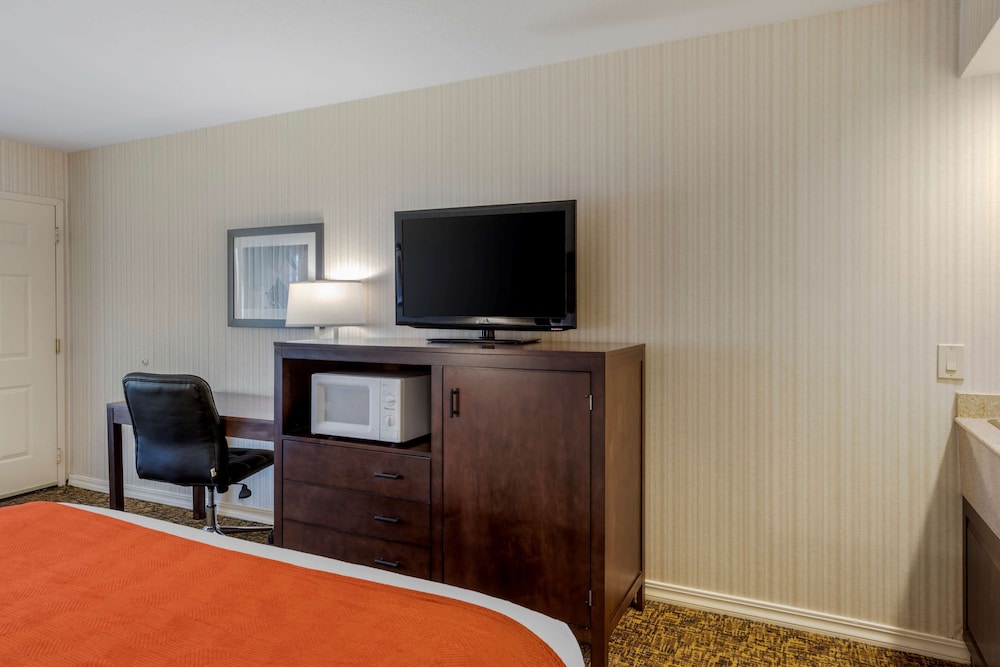 best western plus big america