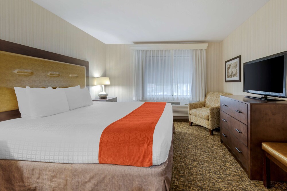 best western plus big america