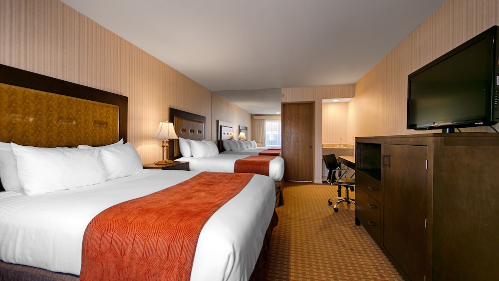 best western plus big america