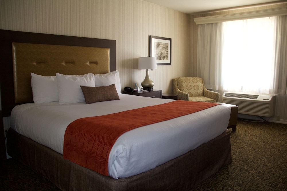 best western plus big america