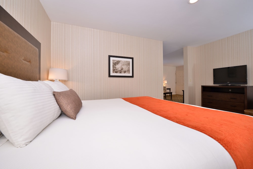 best western plus big america