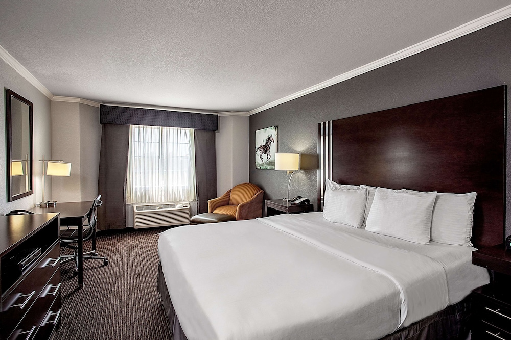 la quinta inn and suites by wyndham davis