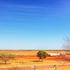spinifex hotel