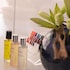 holiday inn dijon by ihg