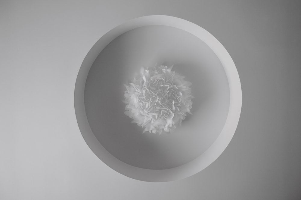 victoria hotel klaipeda