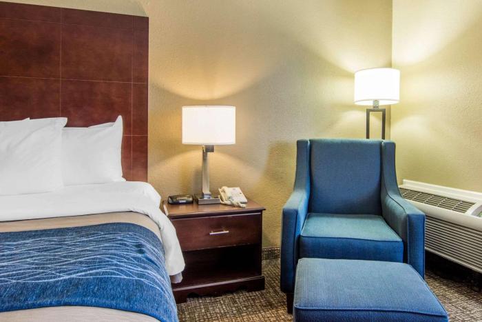 comfort inn atlanta downtown south