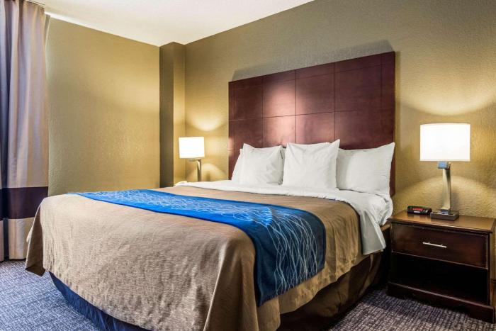 comfort inn atlanta downtown south