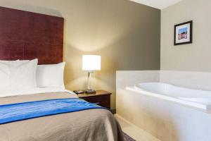 comfort inn atlanta downtown south