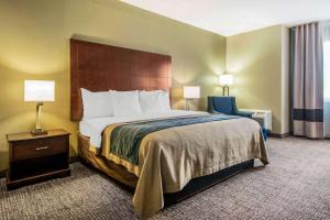comfort inn atlanta downtown south