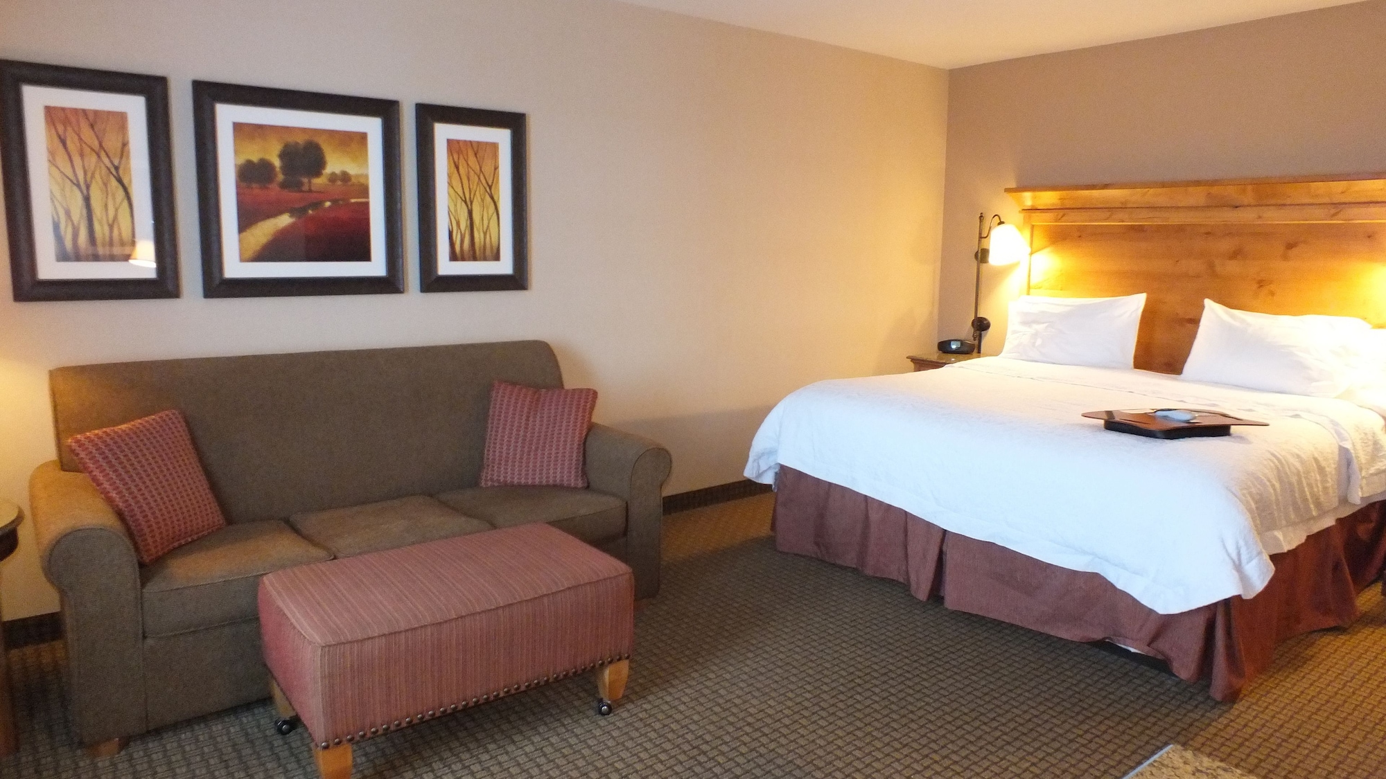 hampton inn and suites buffalo
