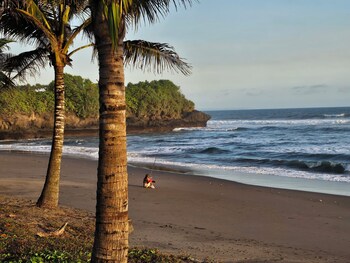 united colors of bali nature