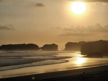 united colors of bali nature