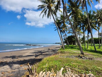 united colors of bali nature