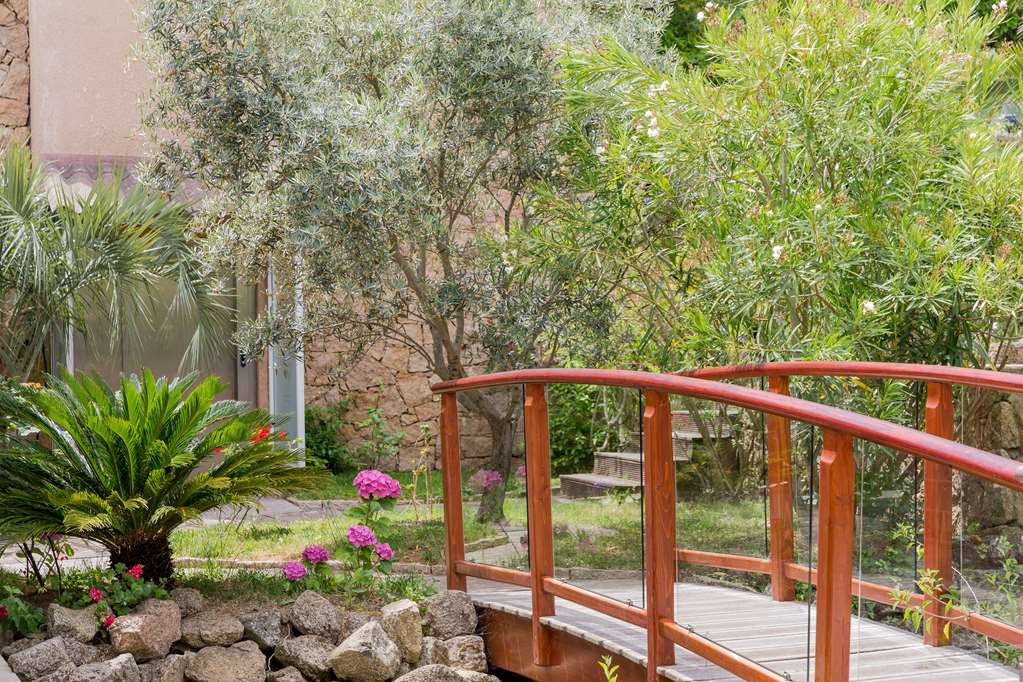 best western plus hotel san damianu