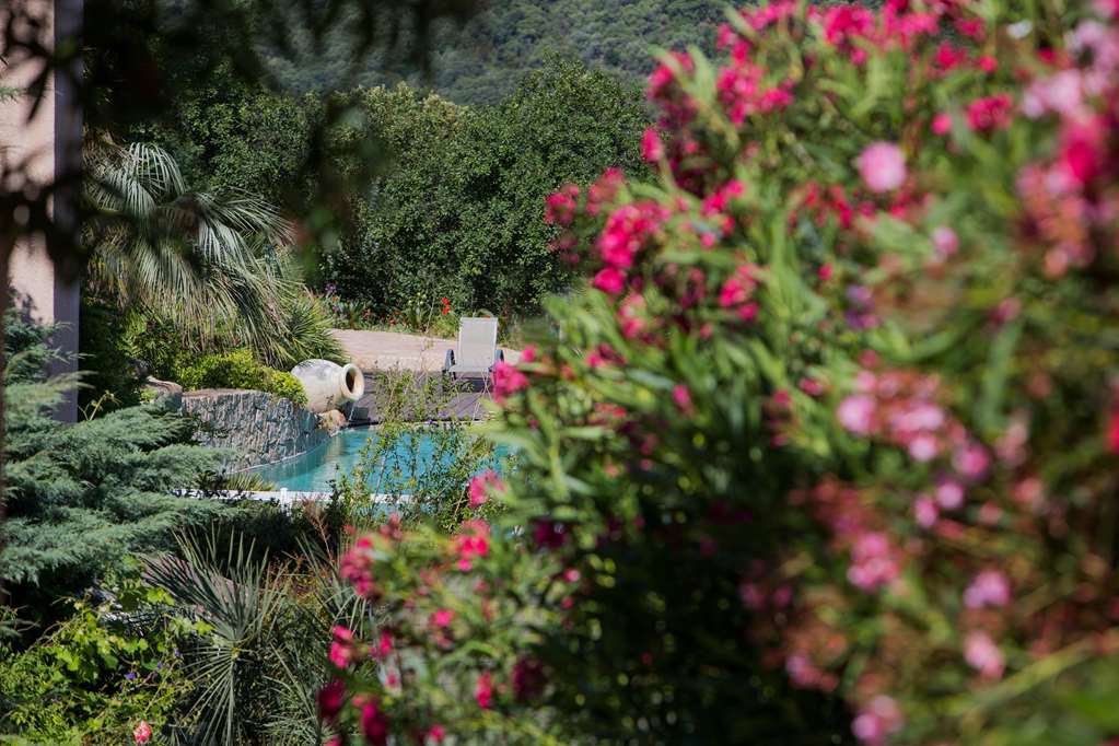 best western plus hotel san damianu