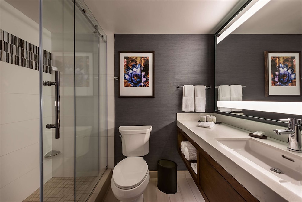 embassy suites by hilton scottsdale resort