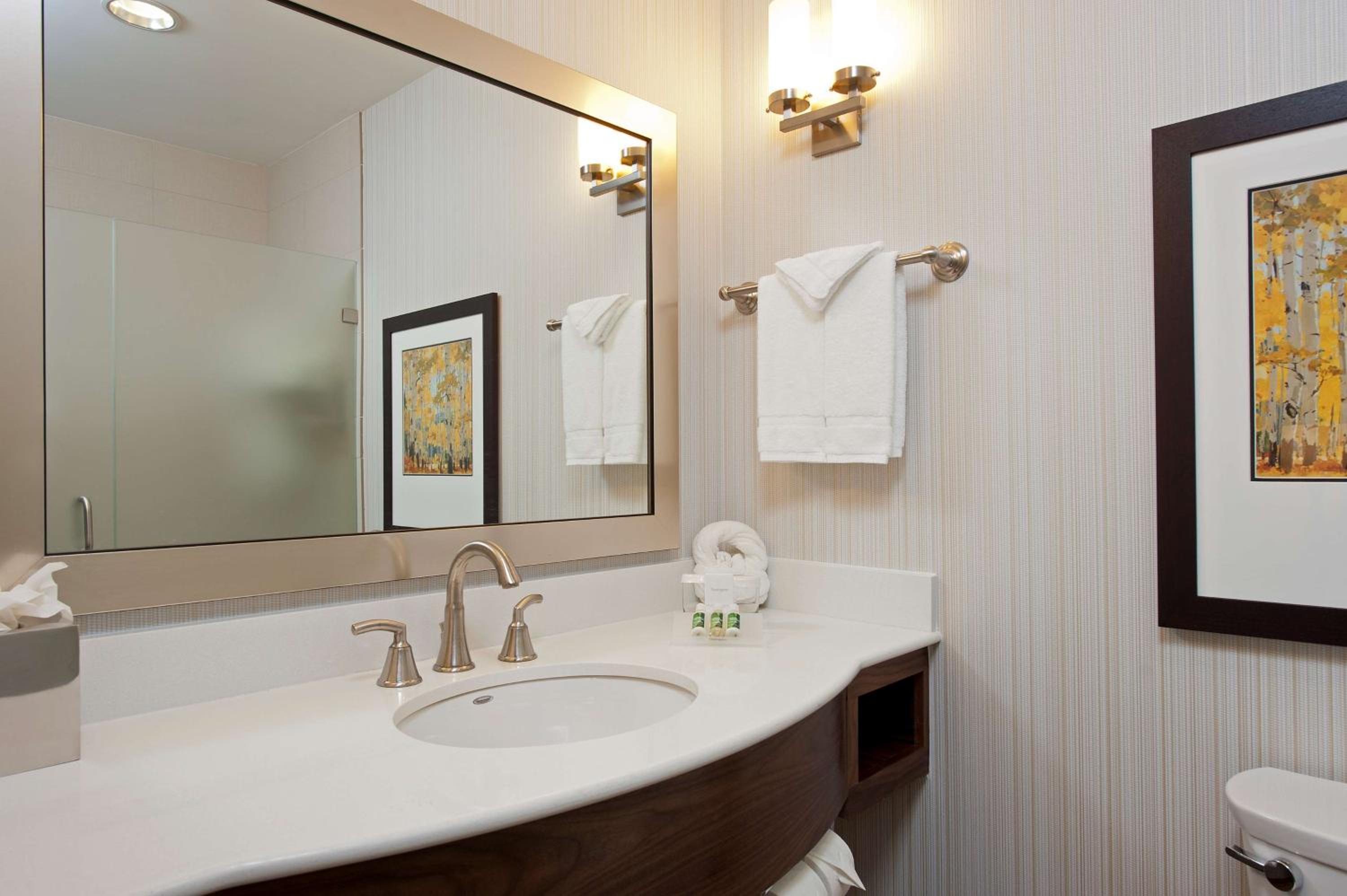 hilton garden inn indianapolis downtown