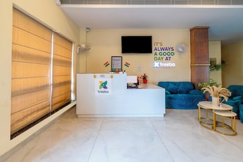 treebo trend little budhha